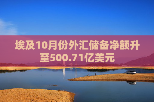 埃及10月份外汇储备净额升至500.71亿美元