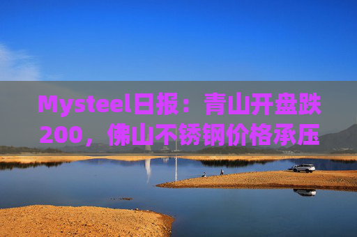 Mysteel日报:青山开盘跌200,佛山不锈钢价格承压下行