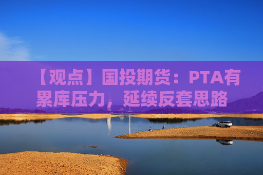 【观点】国投期货:PTA有累库压力,延续反套思路
