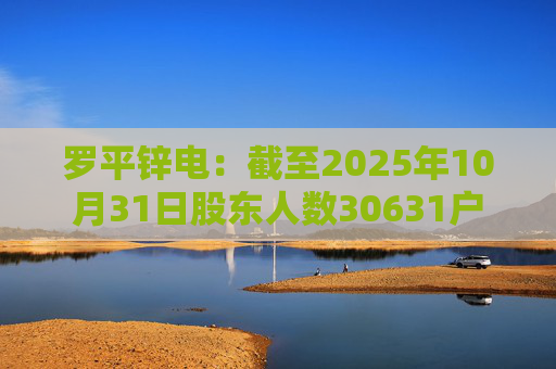 罗平锌电：截至2025年10月31日股东人数30631户