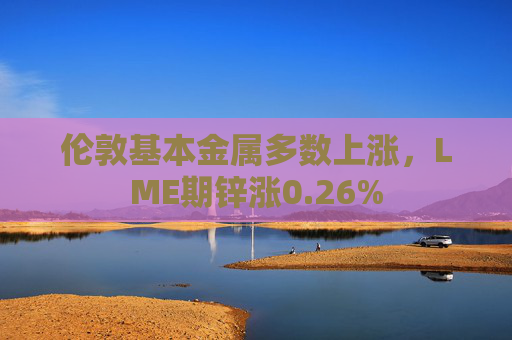伦敦基本金属多数上涨,LME期锌涨0.26%
