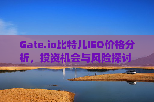 Gate.io比特儿IEO价格分析，投资机会与风险探讨 gateio比特儿ieo价格