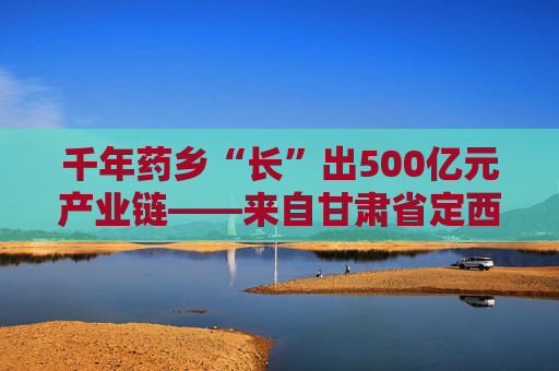 千年药乡“长”出500亿元产业链——来自甘肃省定西市的调查
