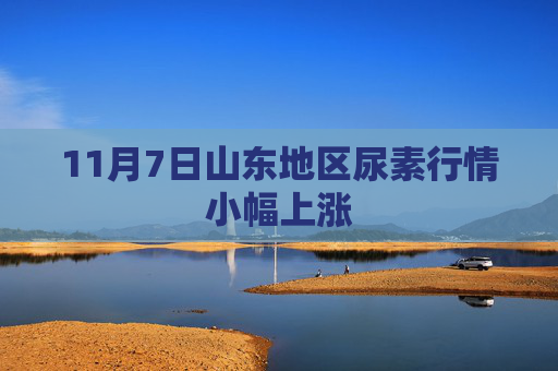 11月7日山东地区尿素行情小幅上涨