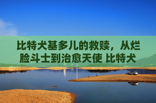 比特犬基多儿的救赎，从烂脸斗士到治愈天使 比特犬基多儿烂脸