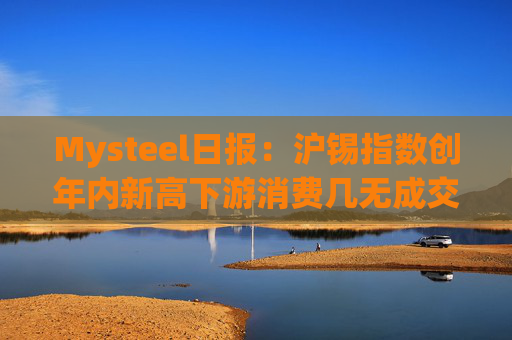 Mysteel日报：沪锡指数创年内新高下游消费几无成交