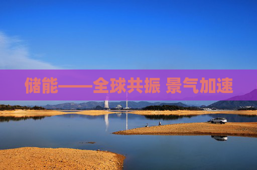 储能——全球共振 景气加速