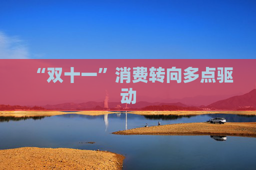 “双十一”消费转向多点驱动