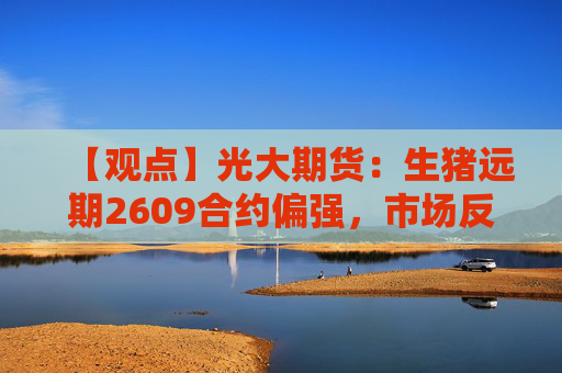 【观点】光大期货:生猪远期2609合约偏强,市场反弹预期增强