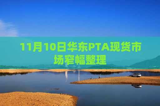 11月10日华东PTA现货市场窄幅整理