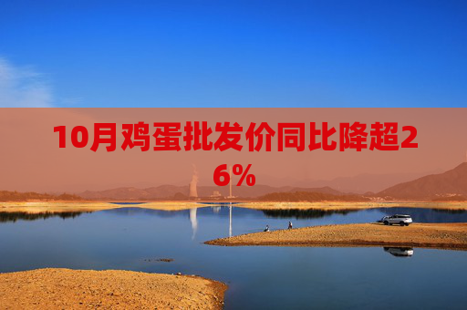 10月鸡蛋批发价同比降超26%