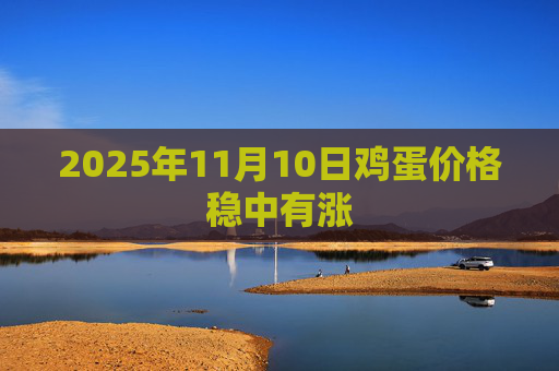 2025年11月10日鸡蛋价格稳中有涨