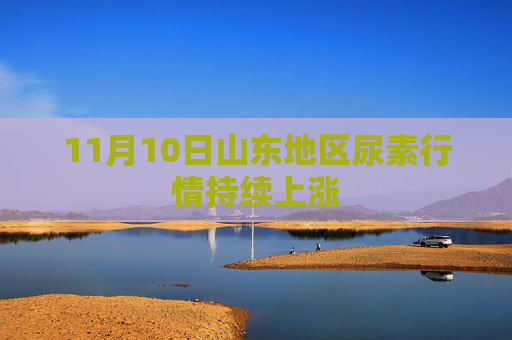 11月10日山东地区尿素行情持续上涨