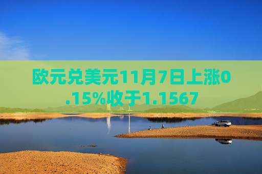 欧元兑美元11月7日上涨0.15%收于1.1567
