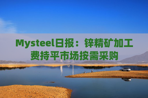 Mysteel日报：锌精矿加工费持平市场按需采购