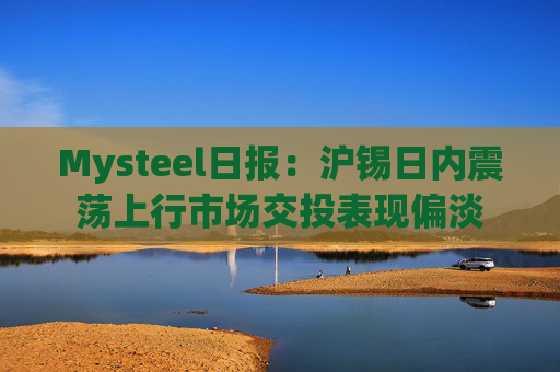 Mysteel日报：沪锡日内震荡上行市场交投表现偏淡
