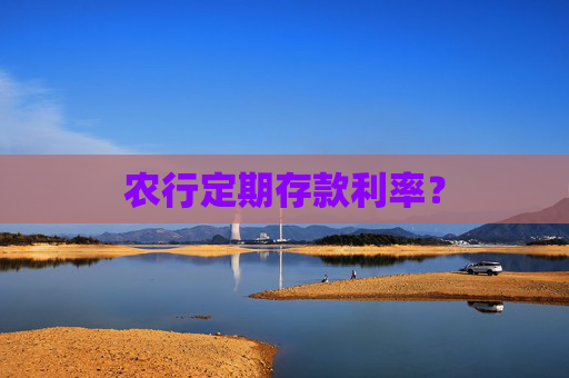 农行定期存款利率？