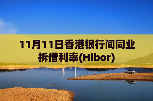 11月11日香港银行间同业拆借利率(Hibor)