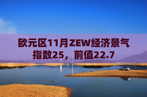 欧元区11月ZEW经济景气指数25，前值22.7