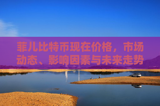 菲儿比特币现在价格，市场动态、影响因素与未来走势分析 菲儿比特币现在价格
