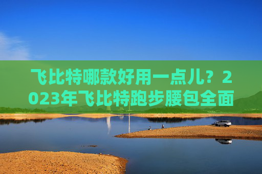 飞比特哪款好用一点儿？2023年飞比特跑步腰包全面评测 飞比特哪款好用一点儿