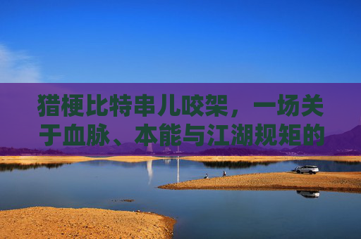 猎梗比特串儿咬架，一场关于血脉、本能与江湖规矩的较量 猎梗比特串儿咬架