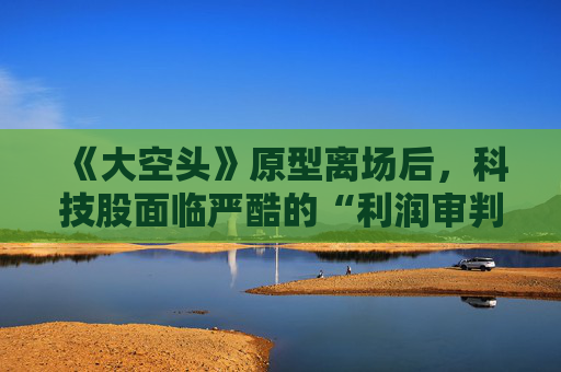 《大空头》原型离场后,科技股面临严酷的“利润审判”!