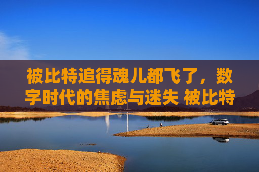 被比特追得魂儿都飞了，数字时代的焦虑与迷失 被比特追得魂儿都飞了什么意思