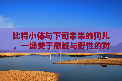 比特小体与下司串串的狗儿，一场关于忠诚与野性的对话 比特小体和下司串串的狗儿