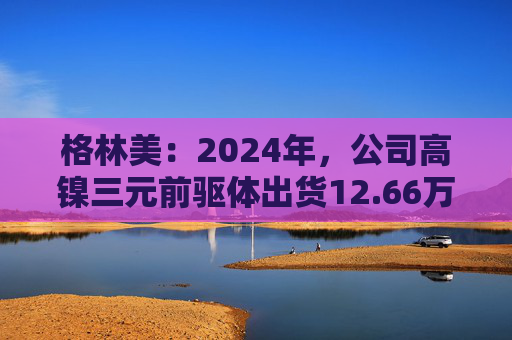 格林美：2024年，公司高镍三元前驱体出货12.66万吨，全球市场份额为37.4%