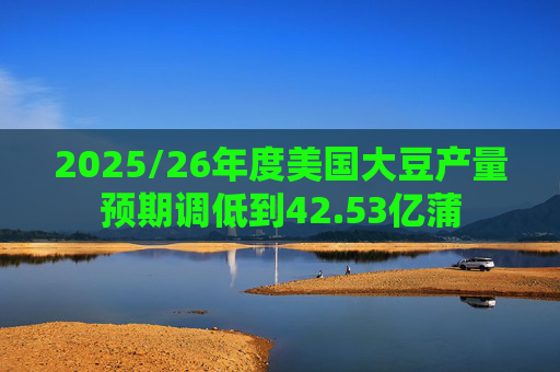 2025/26年度美国大豆产量预期调低到42.53亿蒲