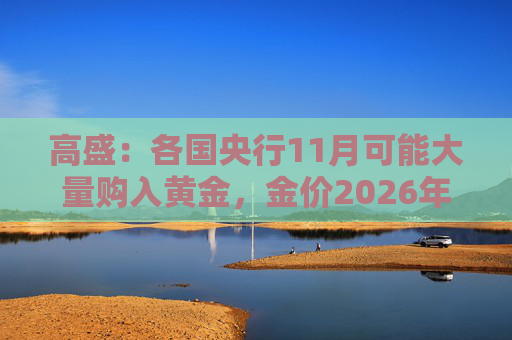 高盛：各国央行11月可能大量购入黄金，金价2026年底或升至4900美元