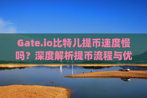 Gate.io比特儿提币速度慢吗？深度解析提币流程与优化建议 gateio比特儿提币是不是很慢