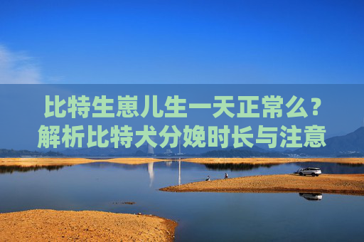 比特生崽儿生一天正常么？解析比特犬分娩时长与注意事项 比特生崽儿生一天正常么