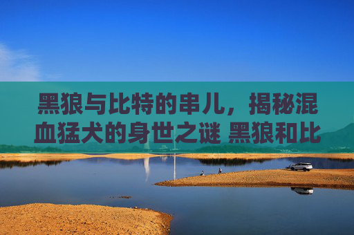黑狼与比特的串儿，揭秘混血猛犬的身世之谜 黑狼和比特的串儿是谁