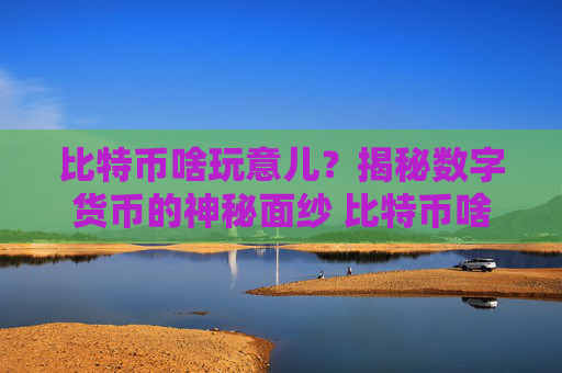 比特币啥玩意儿？揭秘数字货币的神秘面纱 比特币啥玩意儿