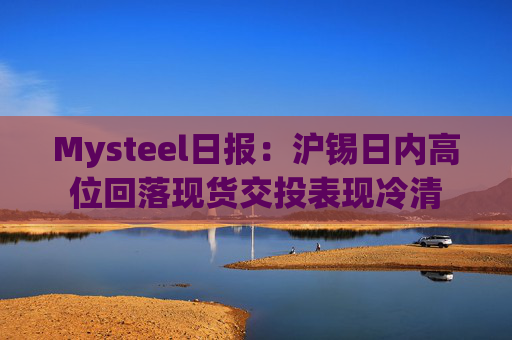 Mysteel日报：沪锡日内高位回落现货交投表现冷清