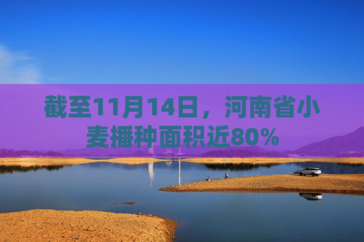 截至11月14日,河南省小麦播种面积近80%