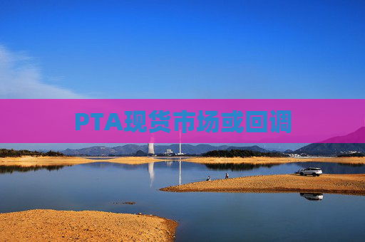 PTA现货市场或回调
