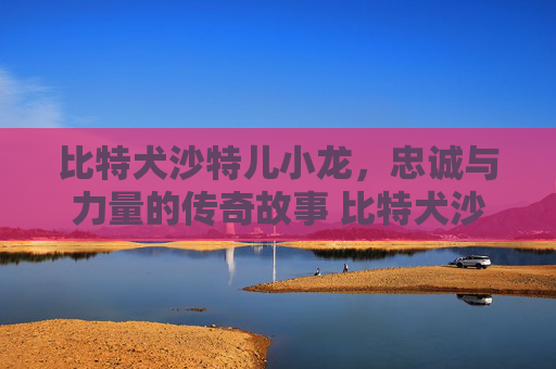 比特犬沙特儿小龙，忠诚与力量的传奇故事 比特犬沙特儿小龙