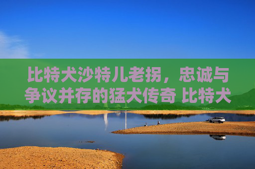 比特犬沙特儿老拐，忠诚与争议并存的猛犬传奇 比特犬沙特儿老拐