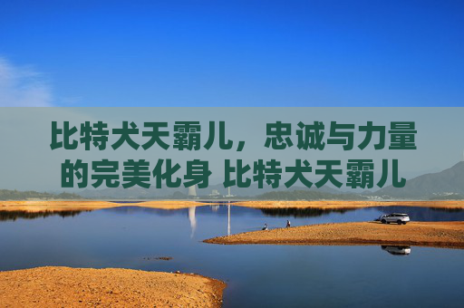 比特犬天霸儿，忠诚与力量的完美化身 比特犬天霸儿
