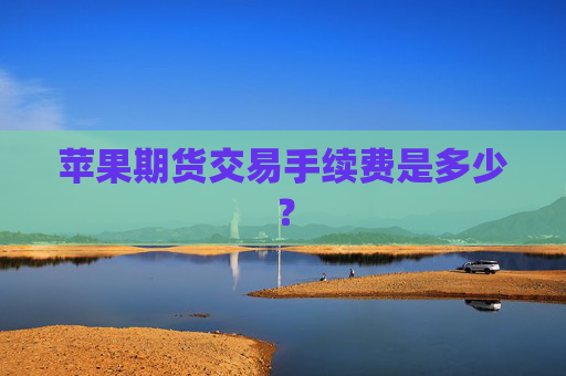 苹果期货交易手续费是多少？