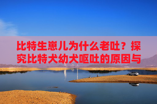比特生崽儿为什么老吐？探究比特犬幼犬呕吐的原因与应对方法 比特生崽儿为什么老吐