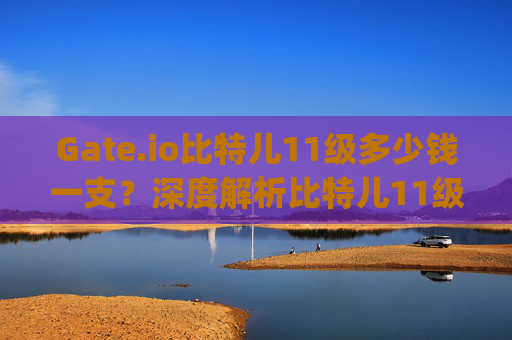 Gate.io比特儿11级多少钱一支？深度解析比特儿11级价格与投资价值 gateio比特儿11级多少钱一支