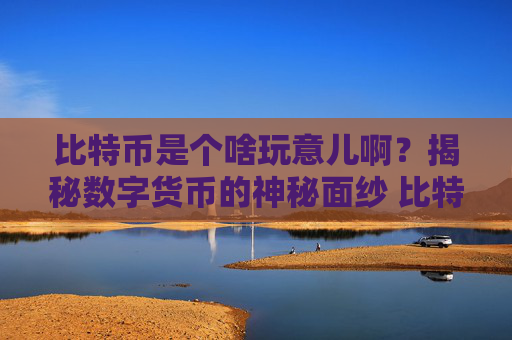 比特币是个啥玩意儿啊？揭秘数字货币的神秘面纱 比特b是个啥玩意儿啊