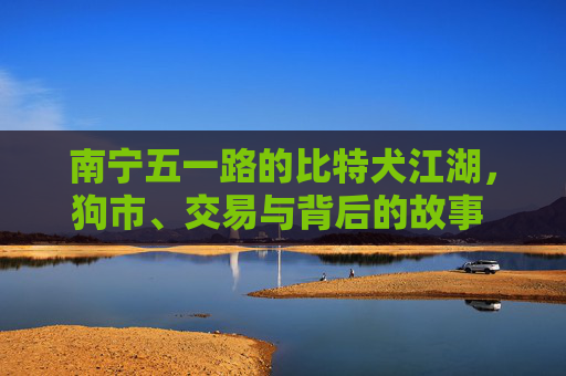 南宁五一路的比特犬江湖，狗市、交易与背后的故事 南宁五一路卖比特的狗儿