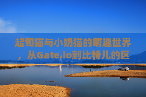 起司猫与小奶猫的萌趣世界，从Gate.io到比特儿的区块链奇遇 起司猫小奶猫gateio比特儿