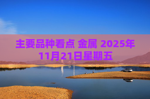 主要品种看点 金属 2025年11月21日星期五