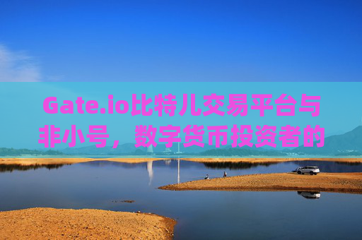 Gate.io比特儿交易平台与非小号，数字货币投资者的得力助手 gateio比特儿交易平台 非小号
